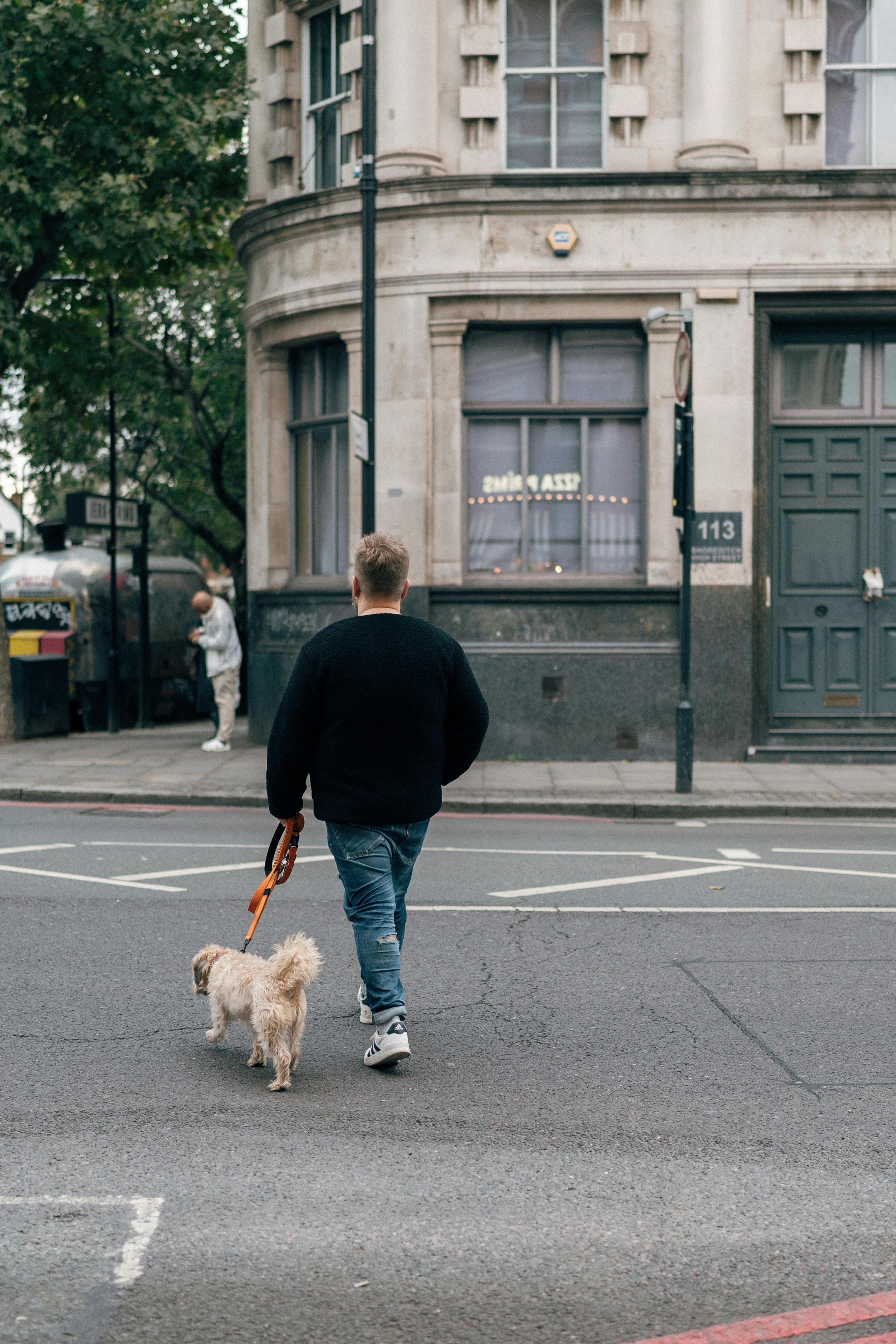 Tactical vs. Standard Leashes: Which One Is Right for Your Adventure?