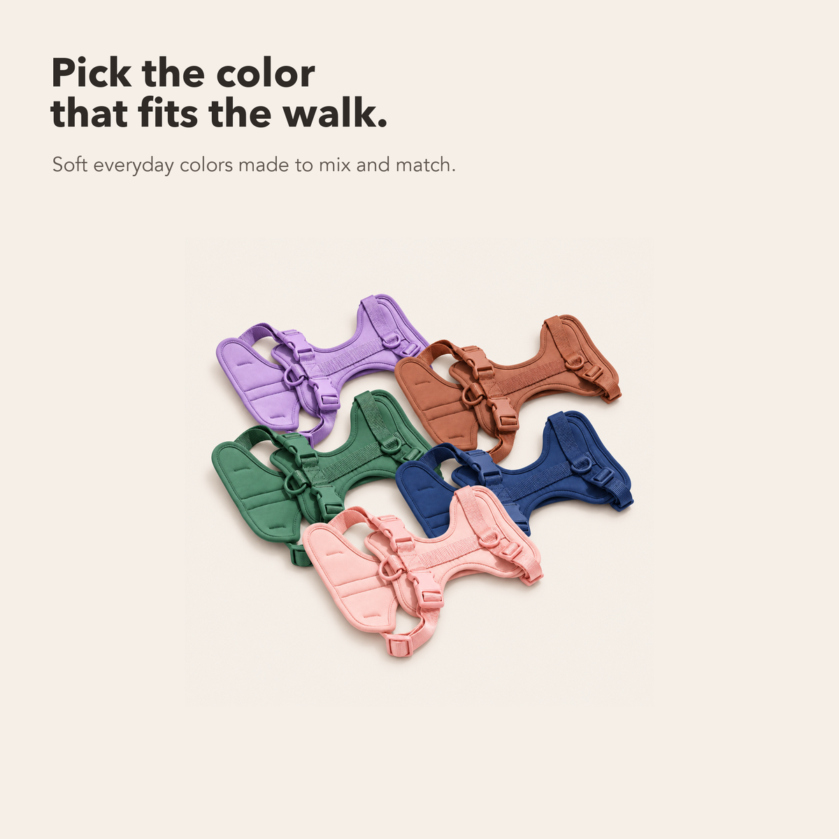 Everyday Comfort Harness+Everyday Comfort Leash