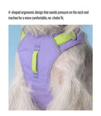 Could-Lite™ – Lavender