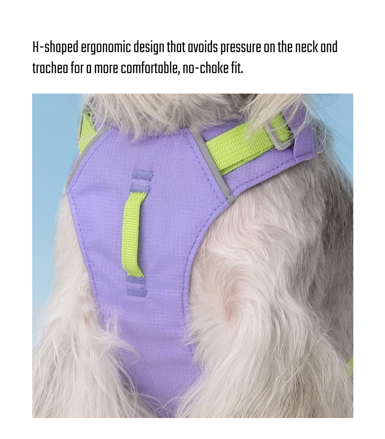 Could-Lite™ – Lavender