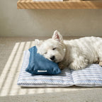Dog Cooling Mat with Built-in Pillow — Self-Cooling Bed