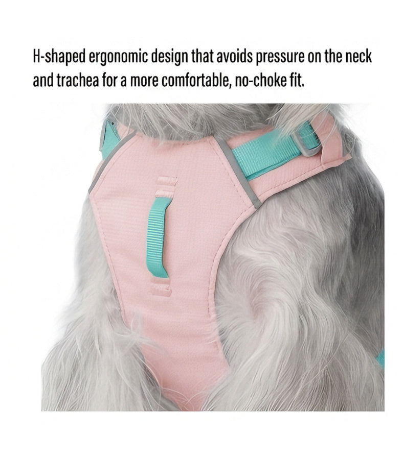 Could- Lite™ - Sakura