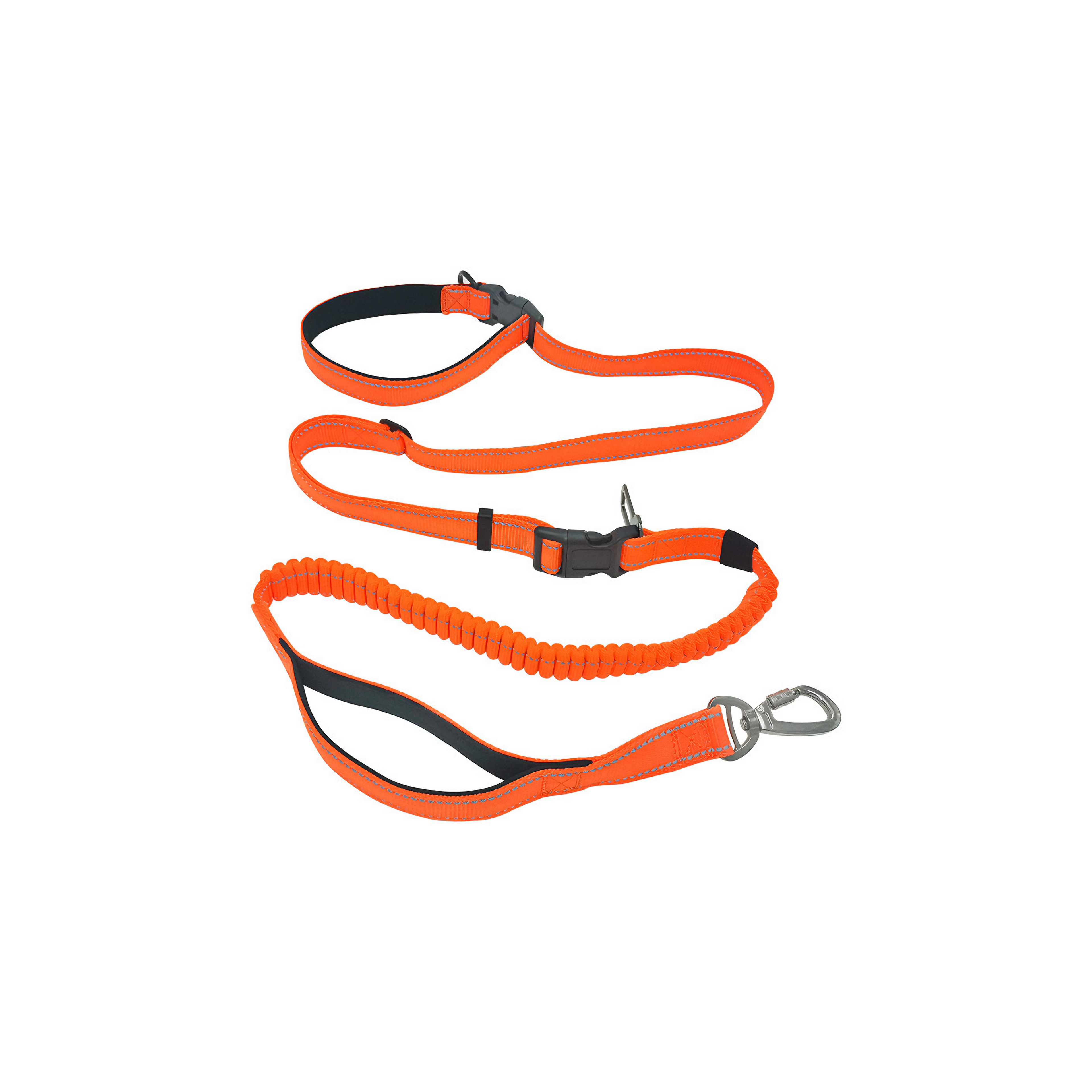 OMNI™ Dog Leash