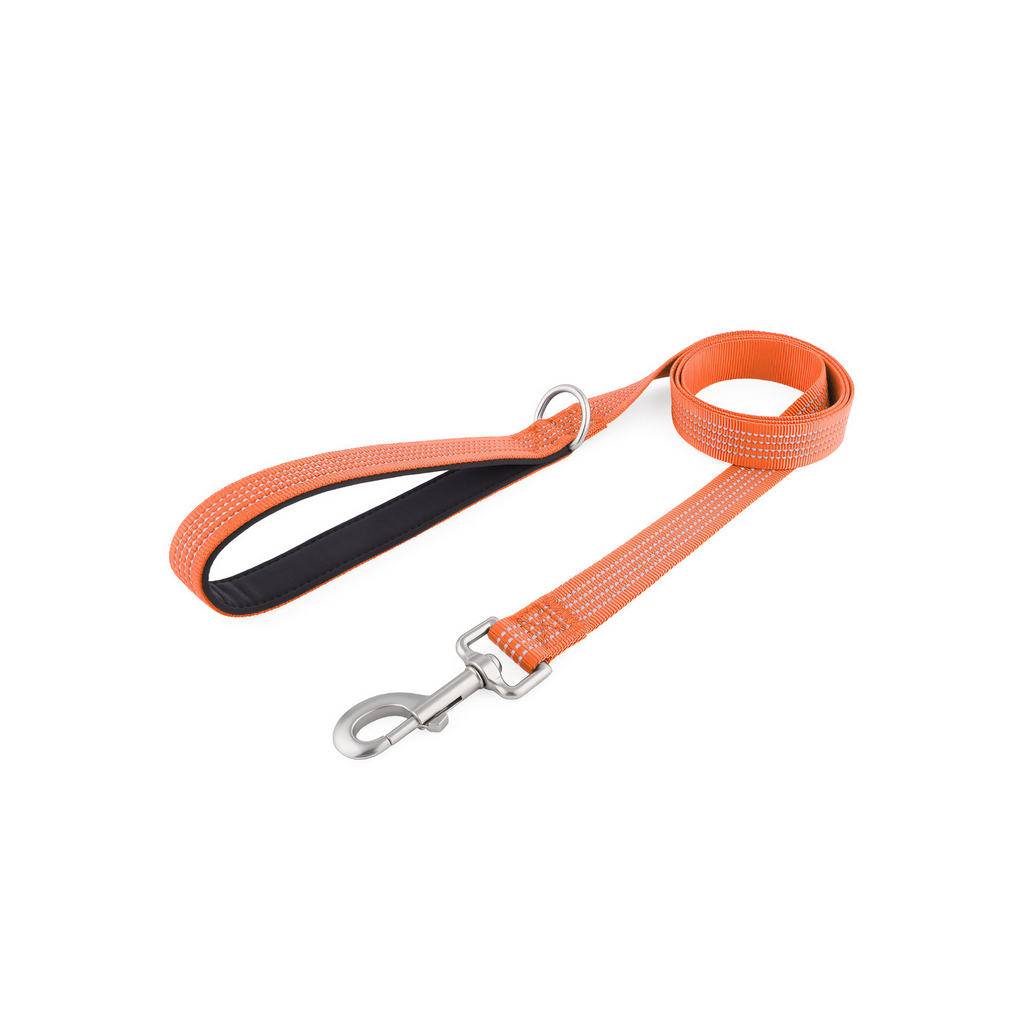 Light Dog Leash