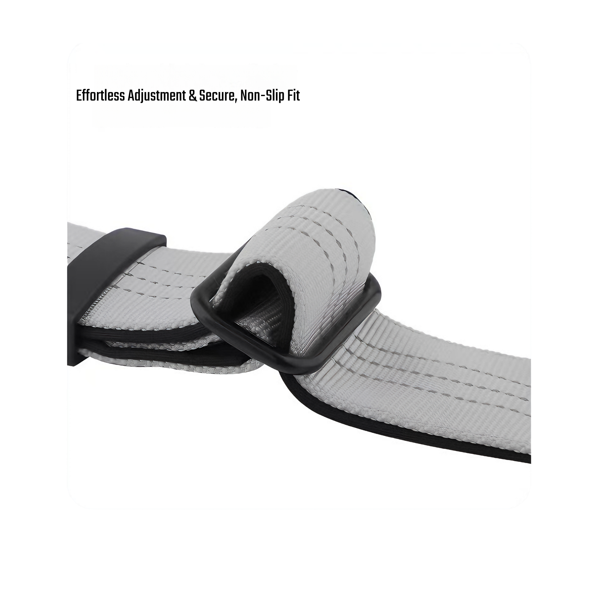 Wild Roamer™Tactical Collar