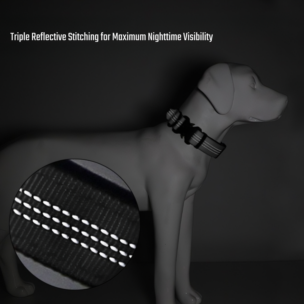 Wild Roamer™Tactical Collar