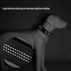 Wild Roamer™Tactical Collar