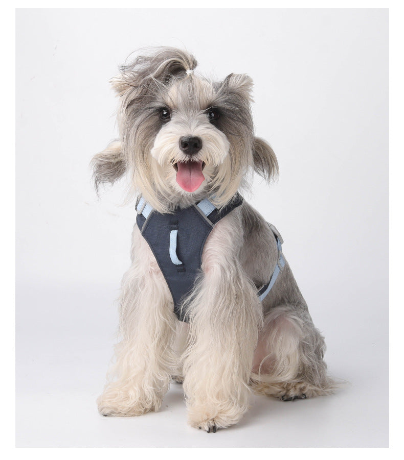 Could-Lite™ – Ocean