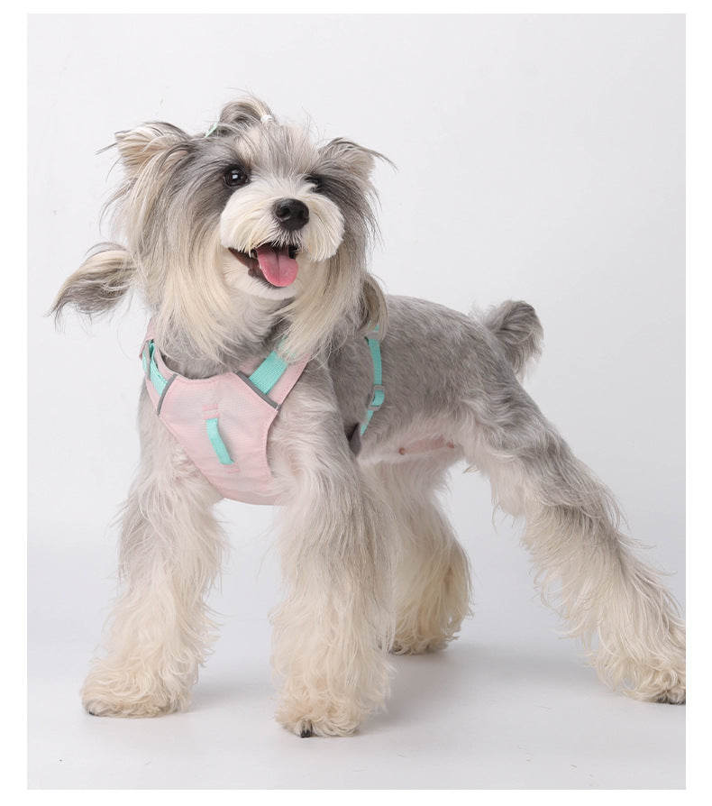 Could- Lite™ - Sakura