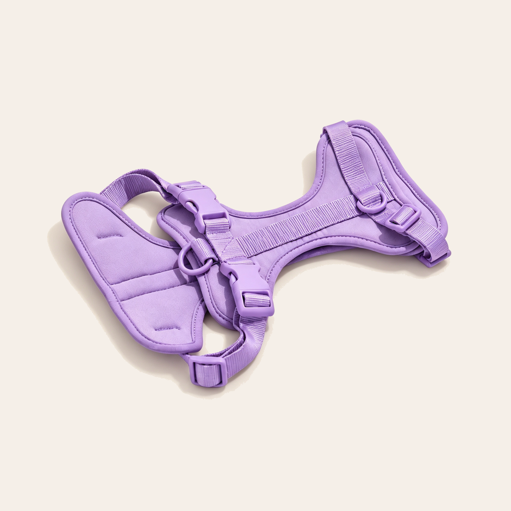 Everyday Comfort Harness