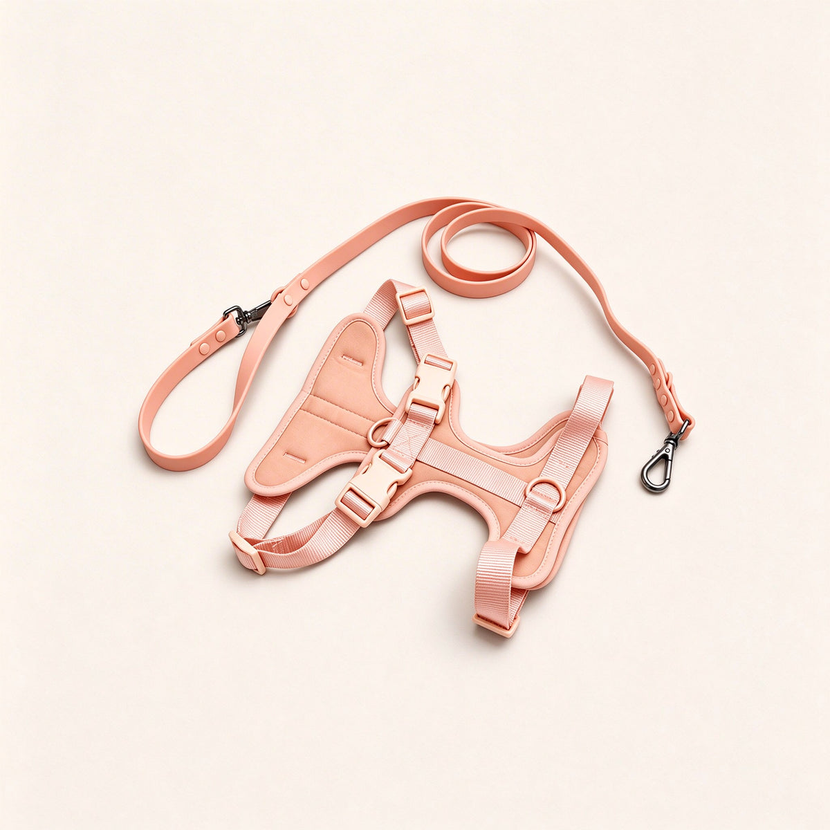 Everyday Comfort Harness+Everyday Comfort Leash