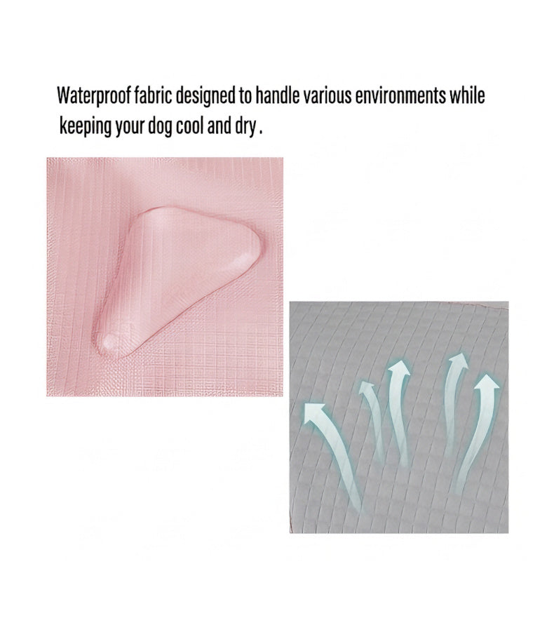 Could- Lite™ - Sakura