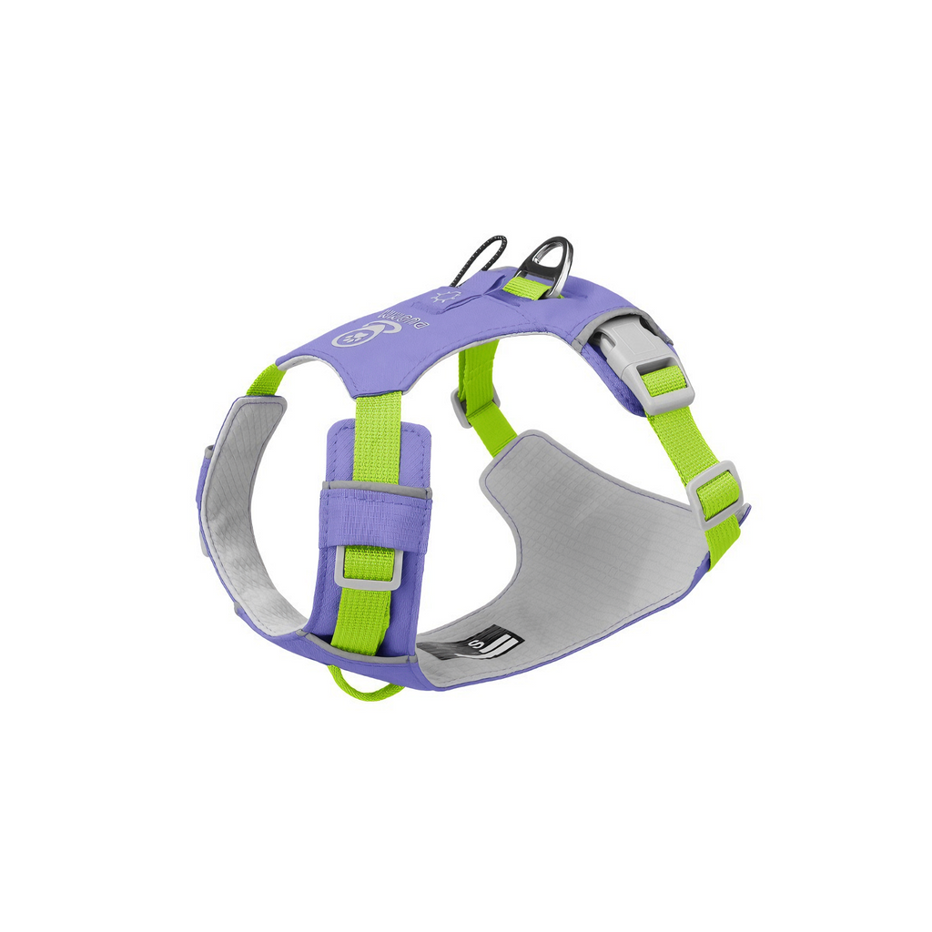 Could-Lite™ – Lavender