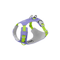 Could-Lite™ – Lavender