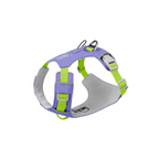 Could-Lite™ – Lavender