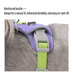 Could-Lite™ – Lavender