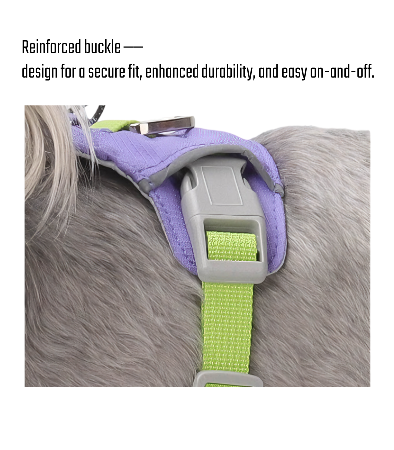 Could-Lite™ – Lavender