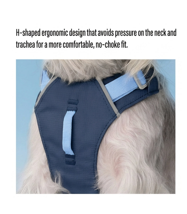 Could-Lite™ – Ocean