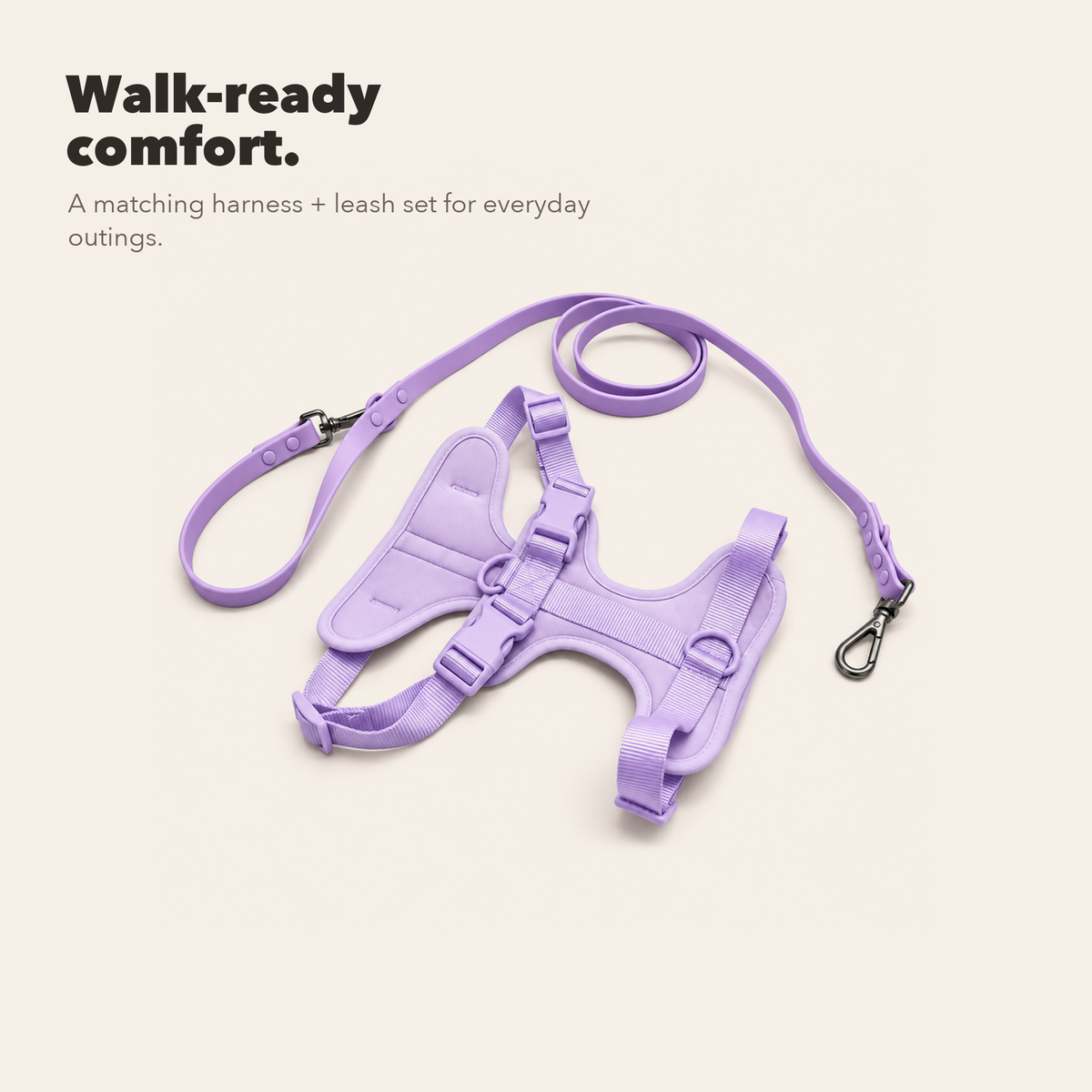 Everyday Comfort Harness+Everyday Comfort Leash
