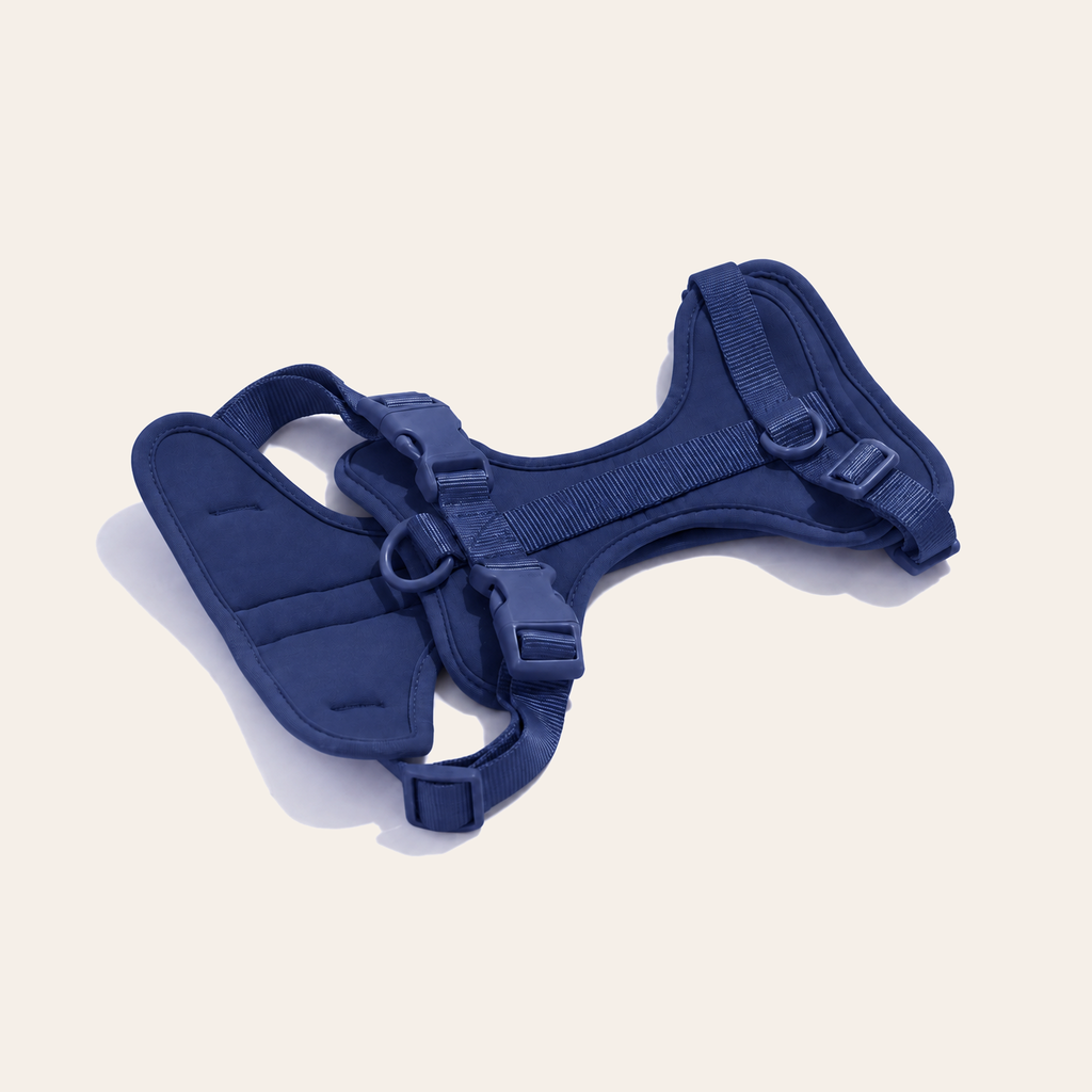 Everyday Comfort Harness