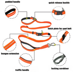 OMNI™ Dog Leash