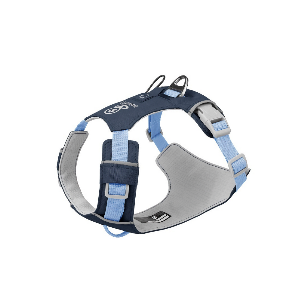Could-Lite™ – Ocean