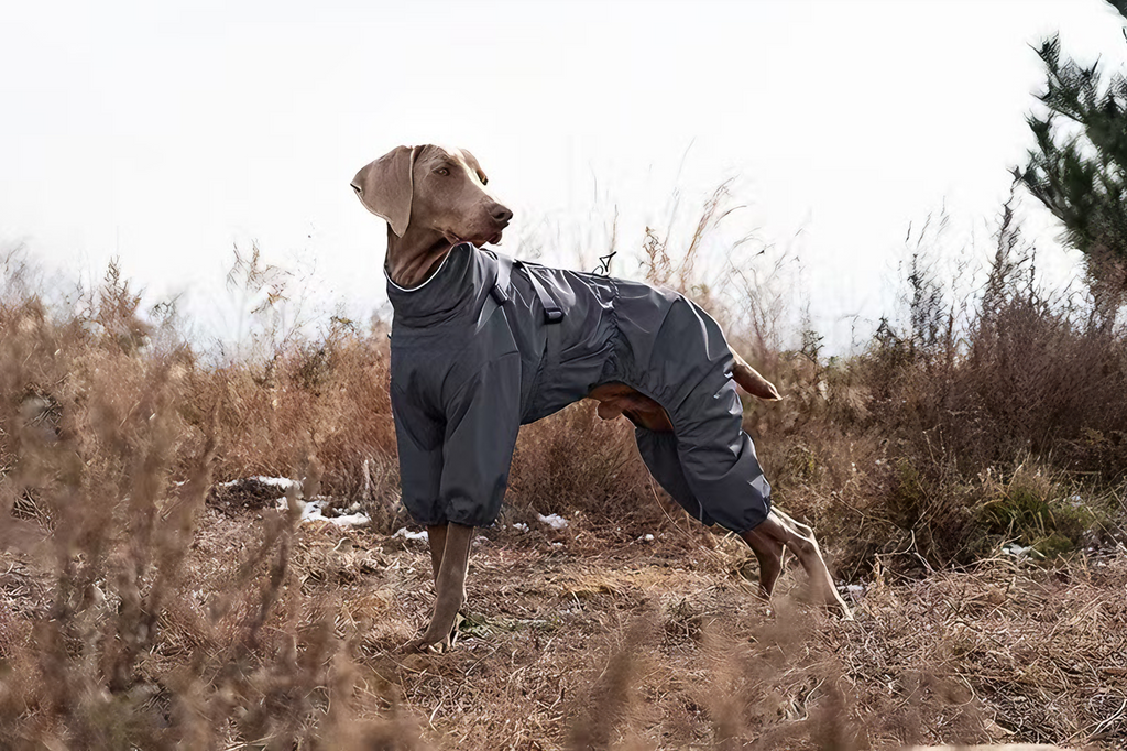 Pathfinder™ Coverall Waterproof Jacket