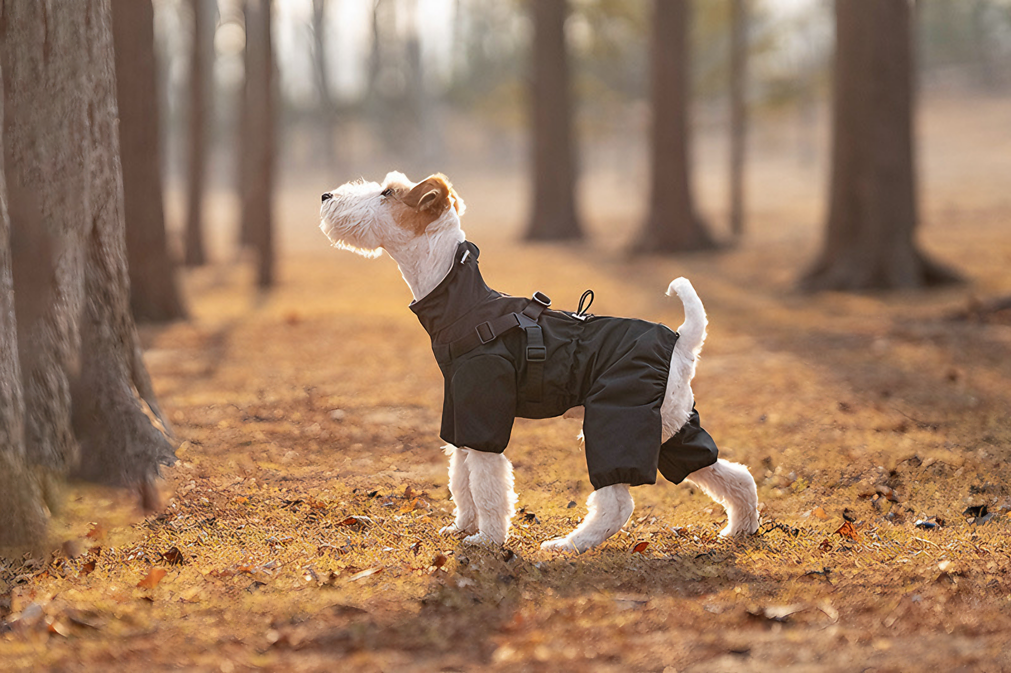 Pathfinder™ Coverall Waterproof Jacket