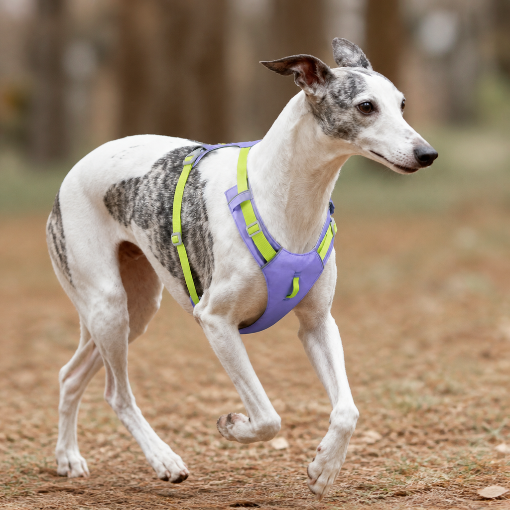 Cloud-Lite Dog Harness - Lavender detail