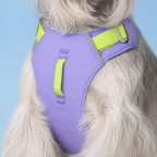 Cloud-Lite Dog Harness - Lavender detail