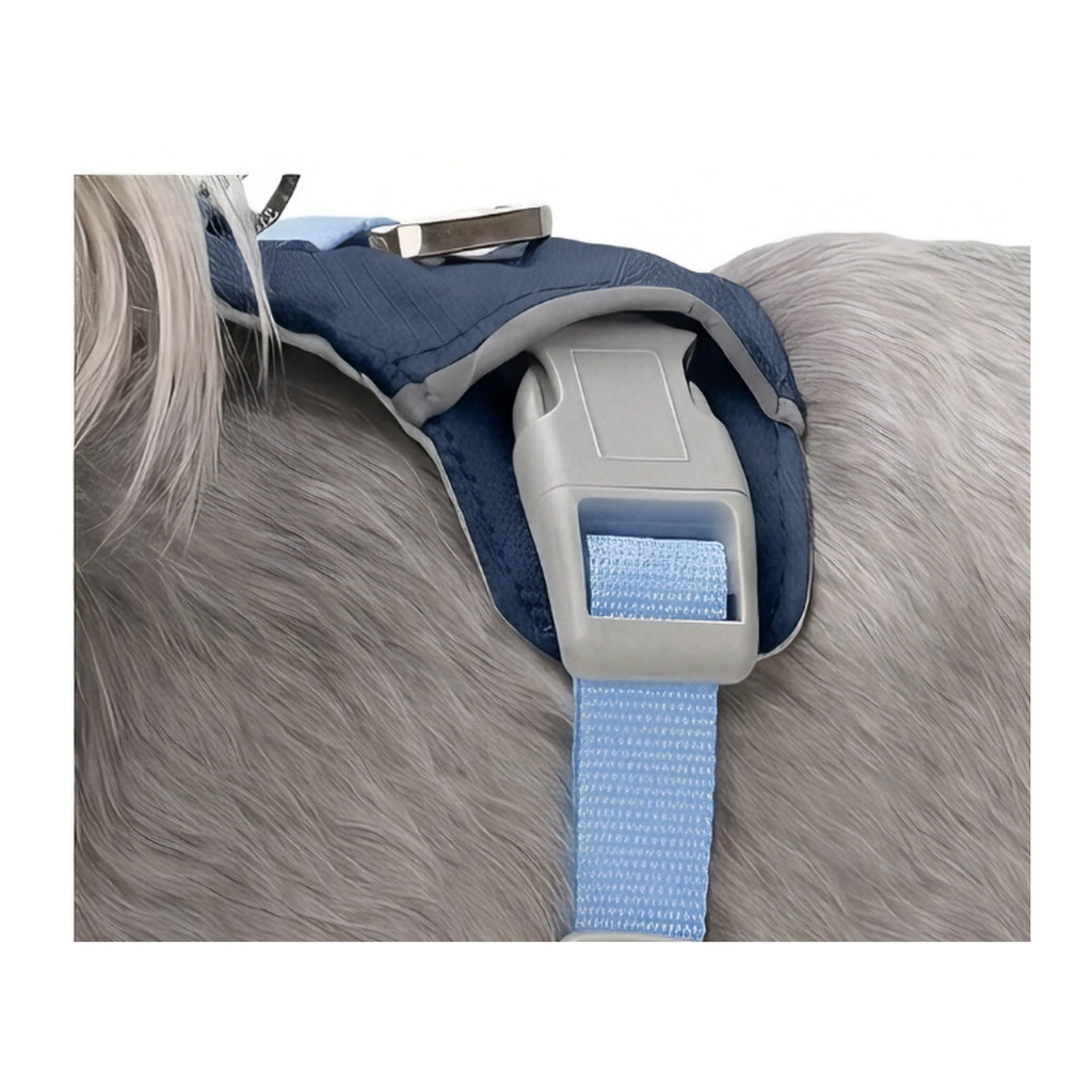 Cloud-Lite Dog Harness - Ocean buckle detail