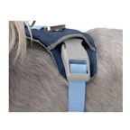 Cloud-Lite Dog Harness - Ocean buckle detail