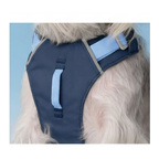 Cloud-Lite Dog Harness - Ocean neck detail