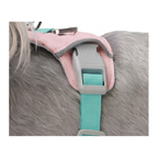 Cloud-Lite Dog Harness - Sakura buckle detail