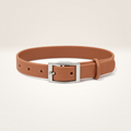 Everyday Comfort Collar
