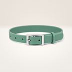 Everyday Comfort Collar
