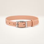 Everyday Comfort Collar