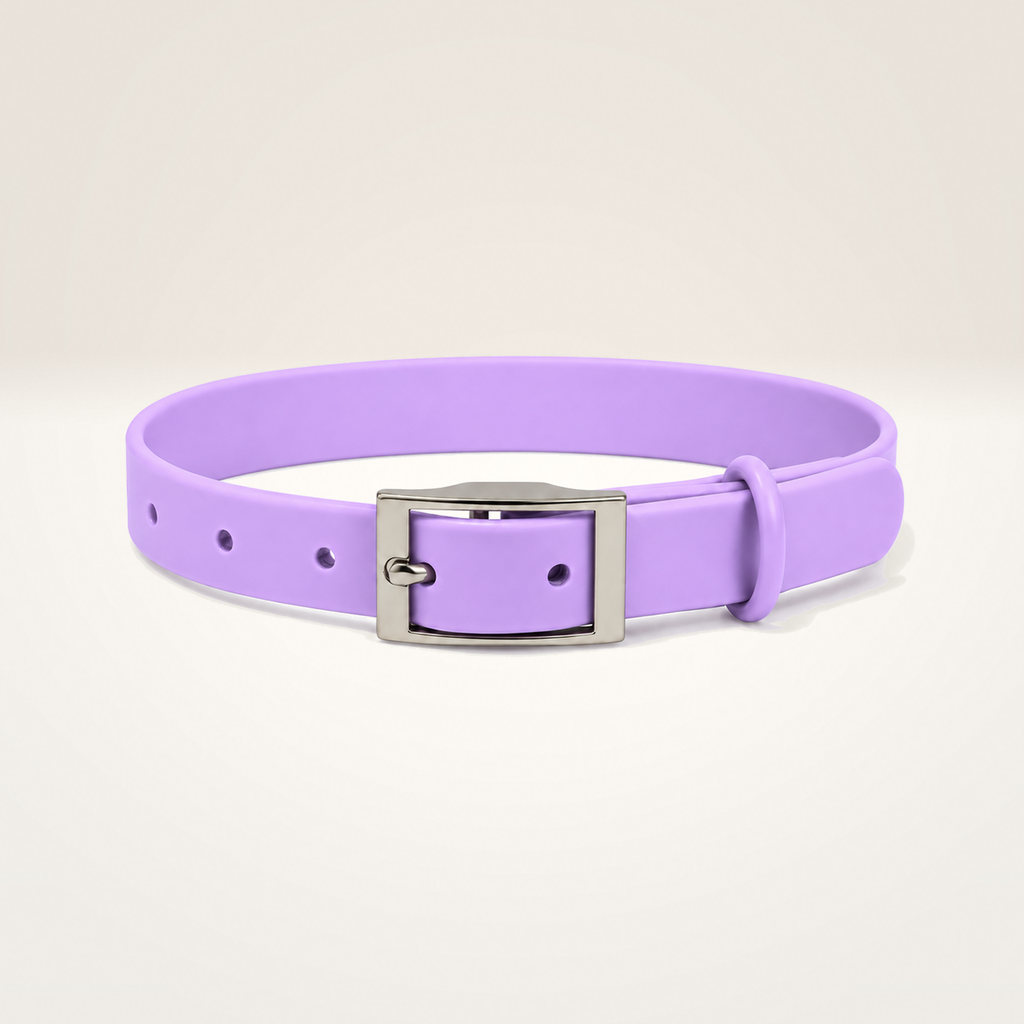 Everyday Comfort Collar
