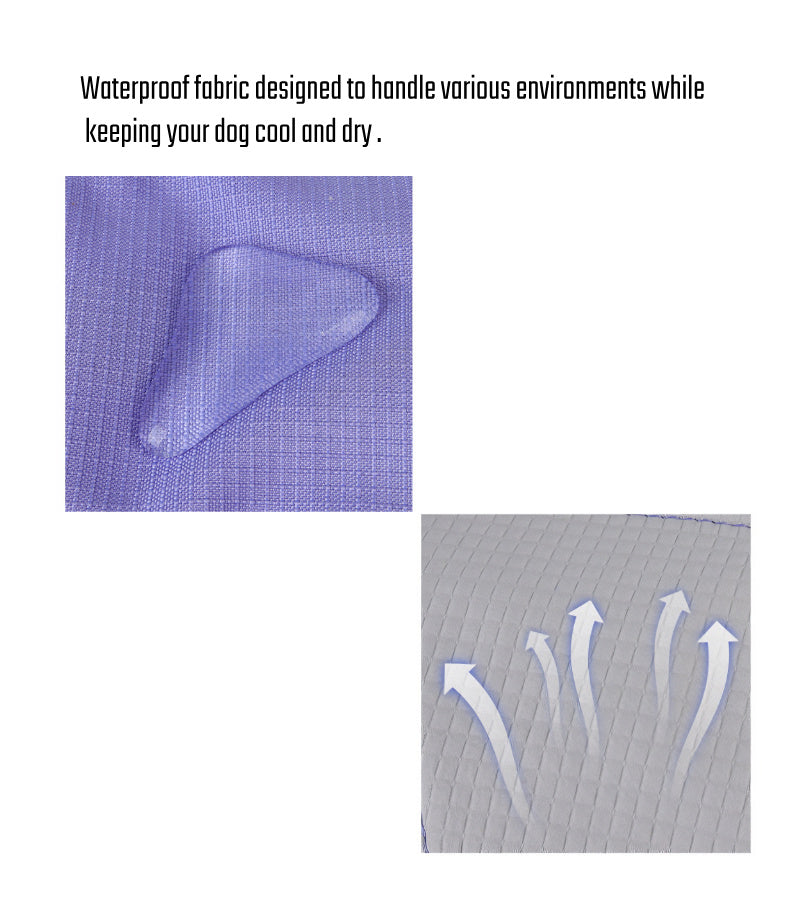 Could-Lite™ – Lavender