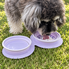 Collapsible Travel Dog Bowl with Slow Feeder