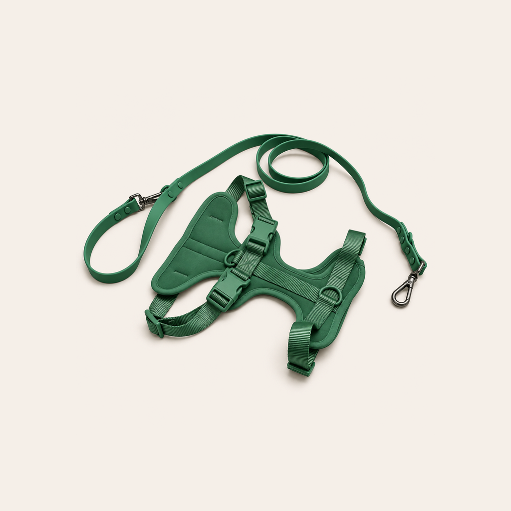 Everyday Comfort Harness+Everyday Comfort Leash