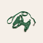 Everyday Comfort Harness+Everyday Comfort Leash