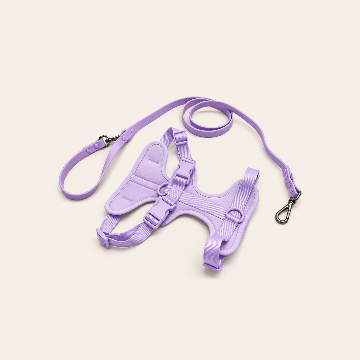 Everyday Comfort Harness+Everyday Comfort Leash