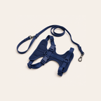 Everyday Comfort Harness+Everyday Comfort Leash