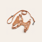 Everyday Comfort Harness+Everyday Comfort Leash