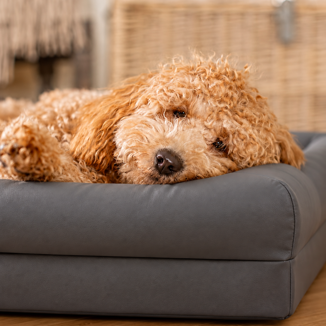 Supportive Egg-Crate Foam Dog Bed - Pressure Relief