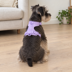 Everyday Comfort Harness