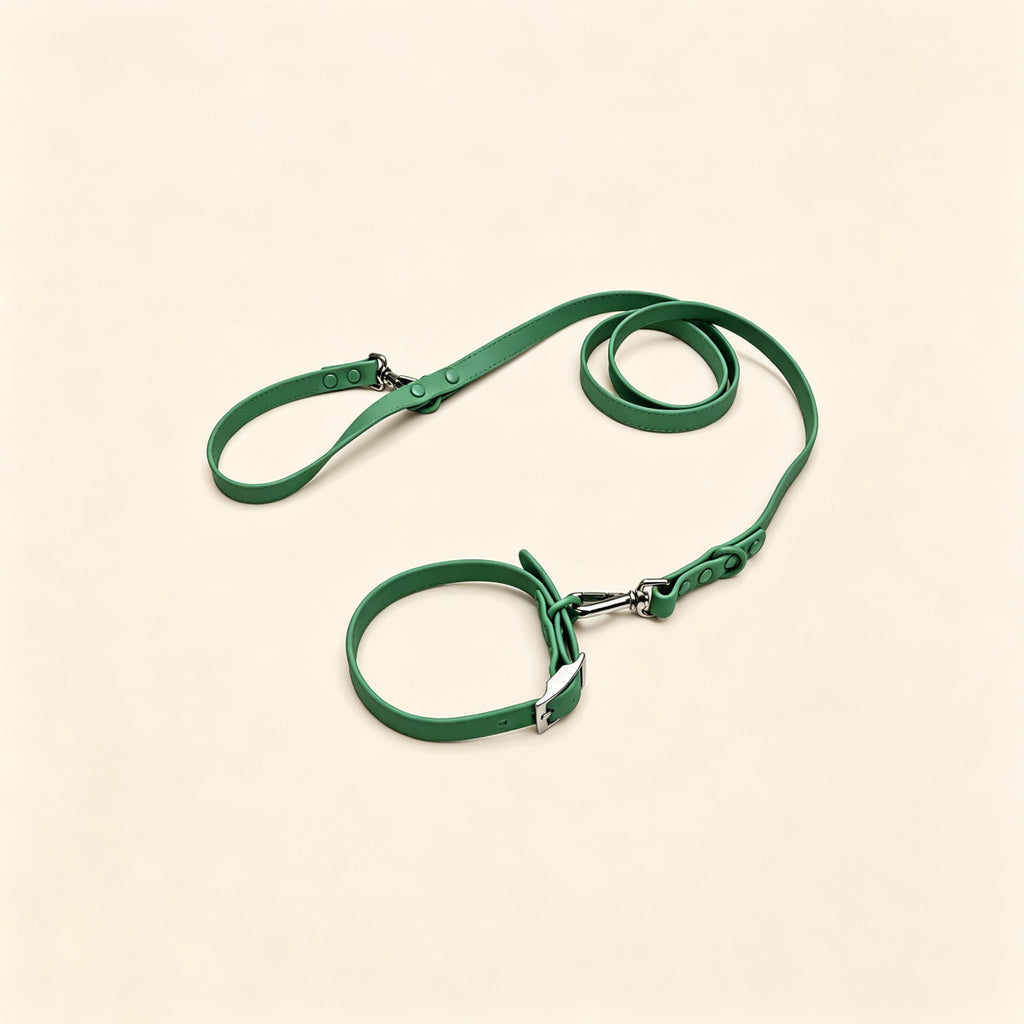 Everyday Comfort Collar+Everyday Comfort Leash