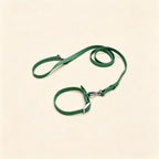 Everyday Comfort Collar+Everyday Comfort Leash