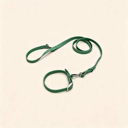 Everyday Comfort Collar+Everyday Comfort Leash
